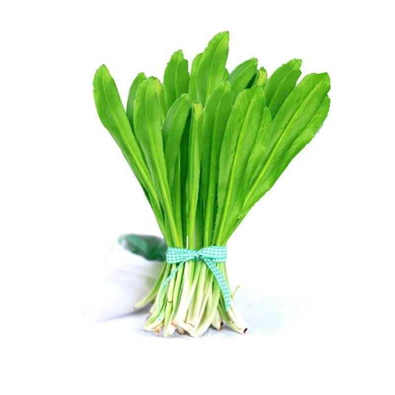Langer coriandre, Mui tau - Hello Asia - 200g - Hello Asia