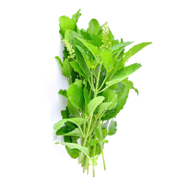 Basilic sacré thaï (Kra Pao) – 100 g