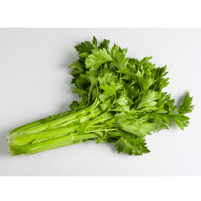 Céleri vietnamien - HELLO ASIA - Hello Asia