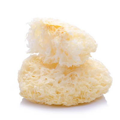 Champignon fungus blanc- GOLDEN LION - 75g