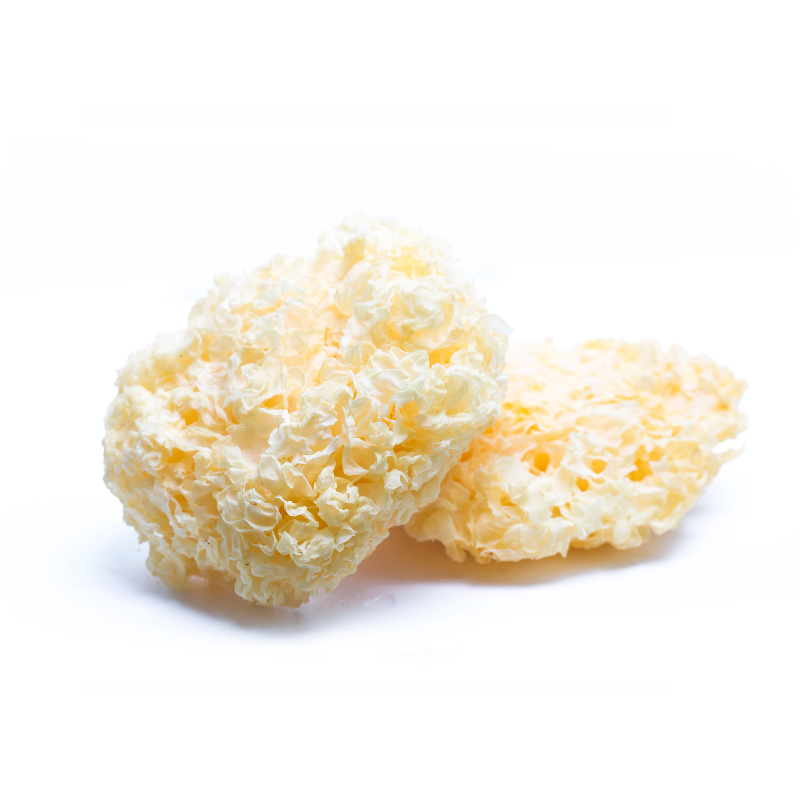 Champignon fungus blanc, séché Sparissa Crispa - Eglobe - 100g