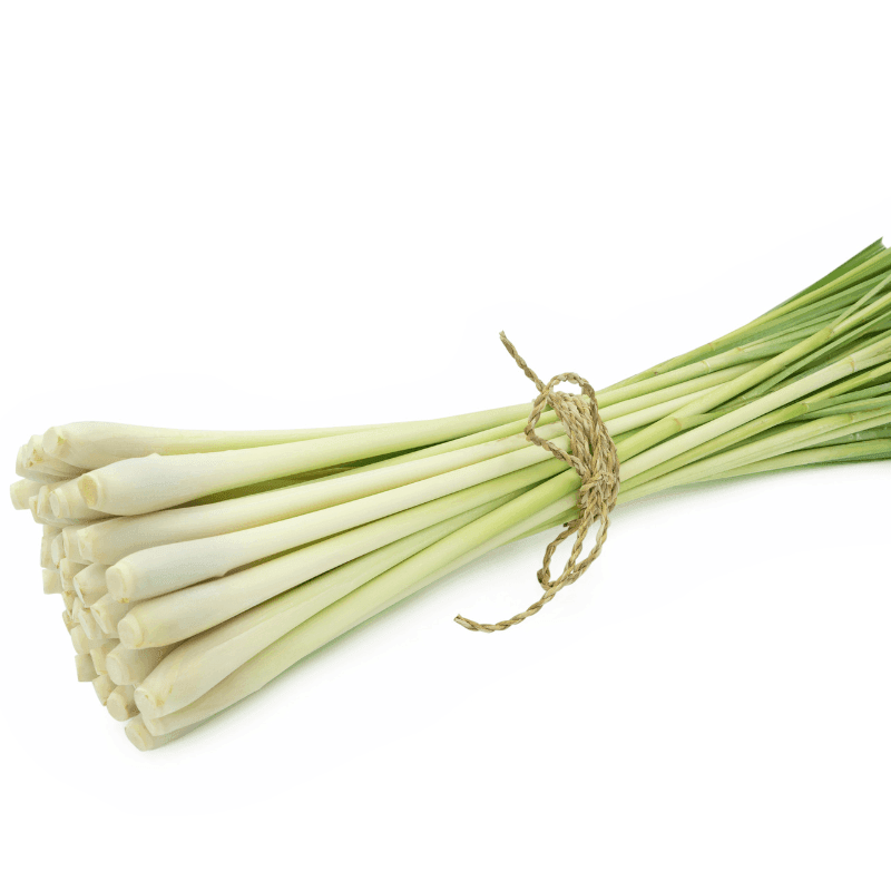 Citronnelle - 100g - Hello Asia