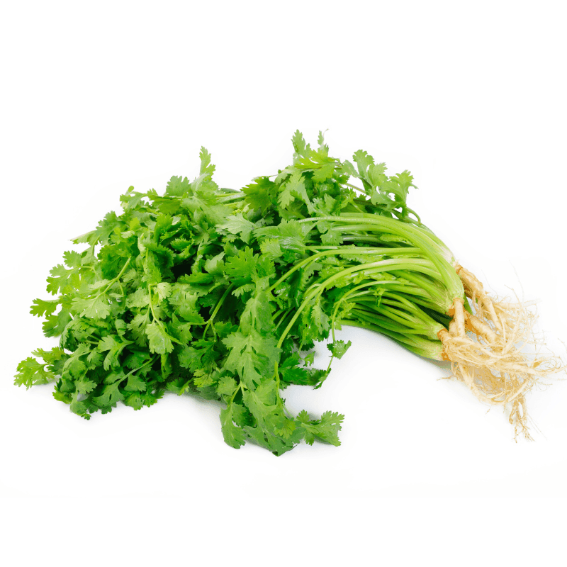 Coriandre - 100g - Hello Asia
