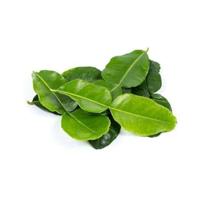 Feuilles de citrons verts (kaffir) - SETHACHON - 100g - Hello Asia