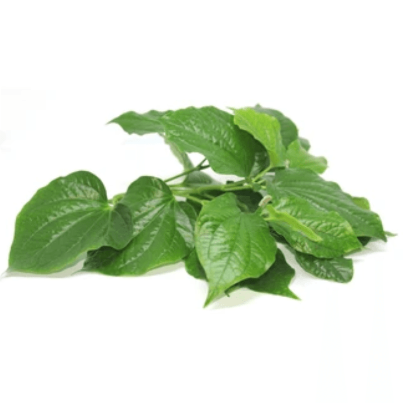 Feuilles de piper lolot (cha phlu)- Hello Asia - 100g - Hello Asia