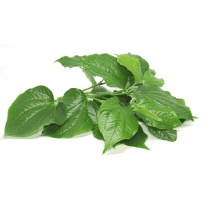 Feuilles de piper lolot (cha phlu)- Hello Asia - 100g - Hello Asia