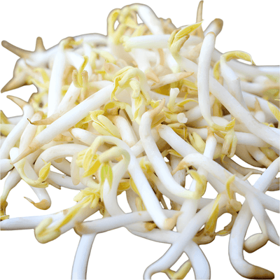 Pousses de haricot mungo - Hello Asia - 200g (Copy) - Hello Asia