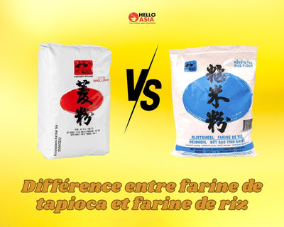 Différence entre farine de tapioca et farine de riz : guide complet