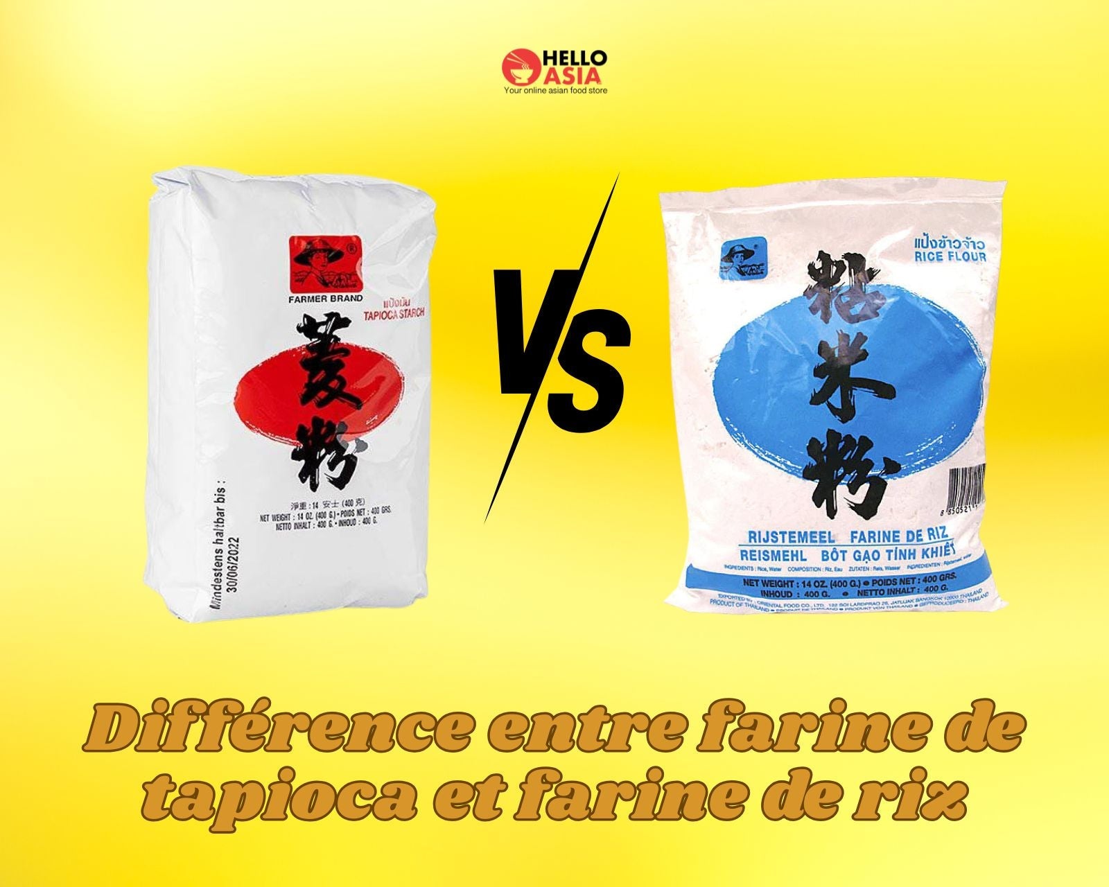 Différence entre farine de tapioca et farine de riz : guide complet