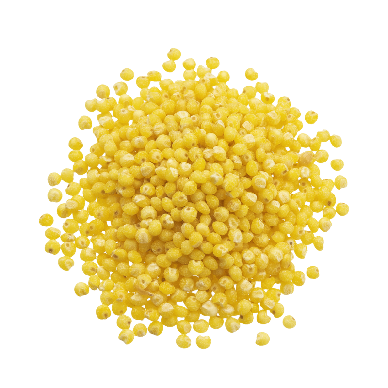 Boulgour de millet - FHJ - 454g