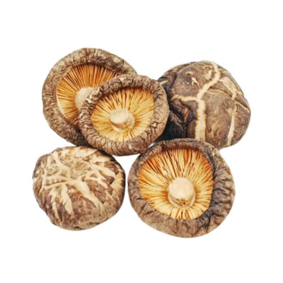 Champignons Shiitake - Yuho - 100g