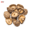 Champignons "Shiitake" - DOUBLE PANDA - 100g