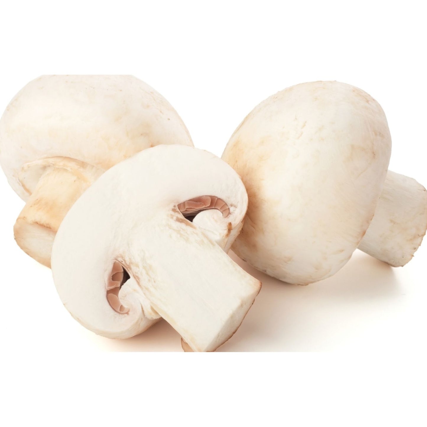 Fungus Mushrooms - YUHO - 85g