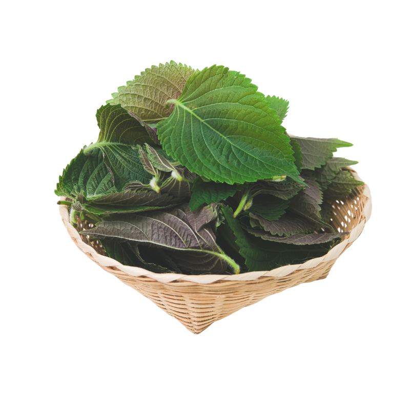 Feuilles  Shiso - 100g